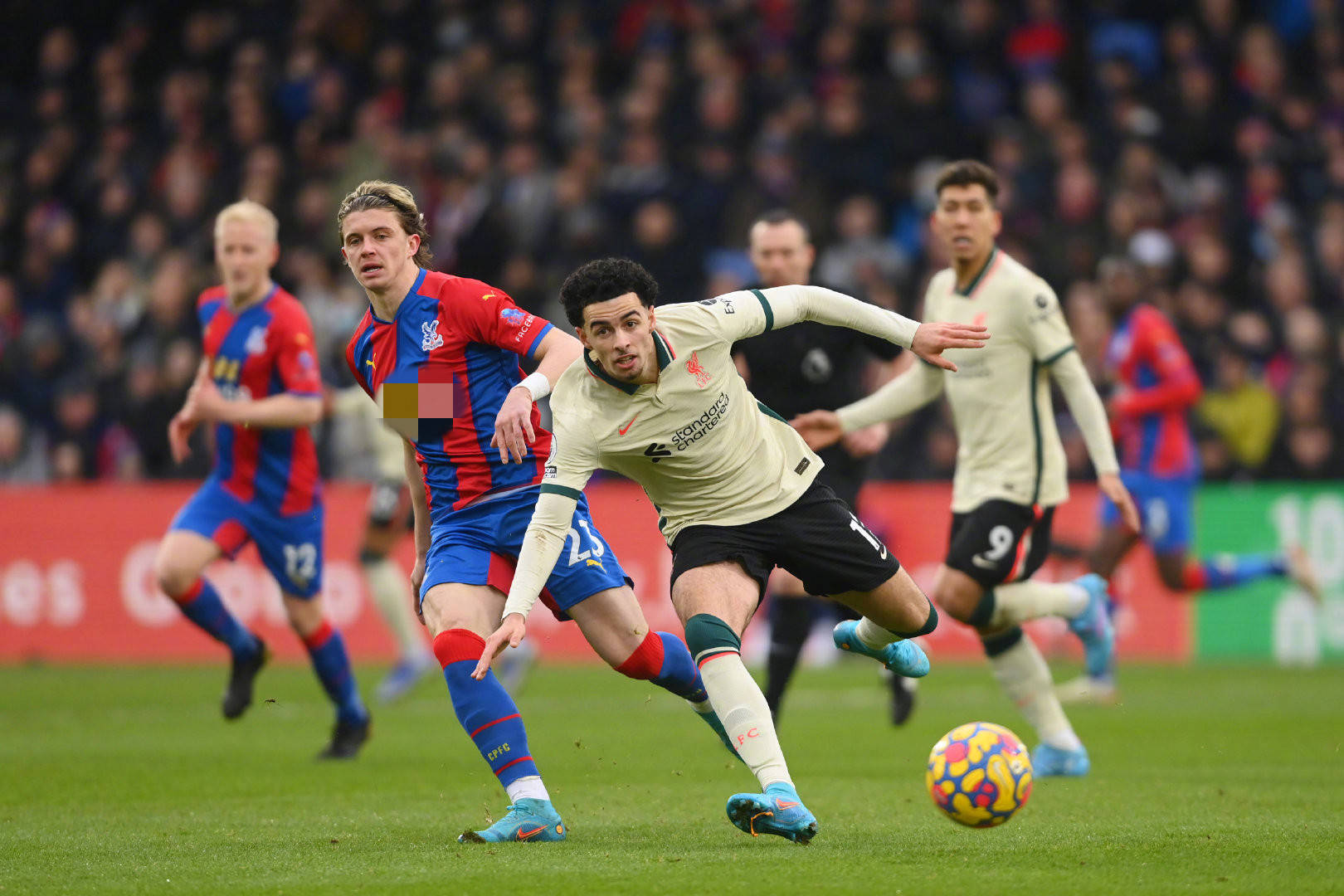 己的努力与 己的努力与